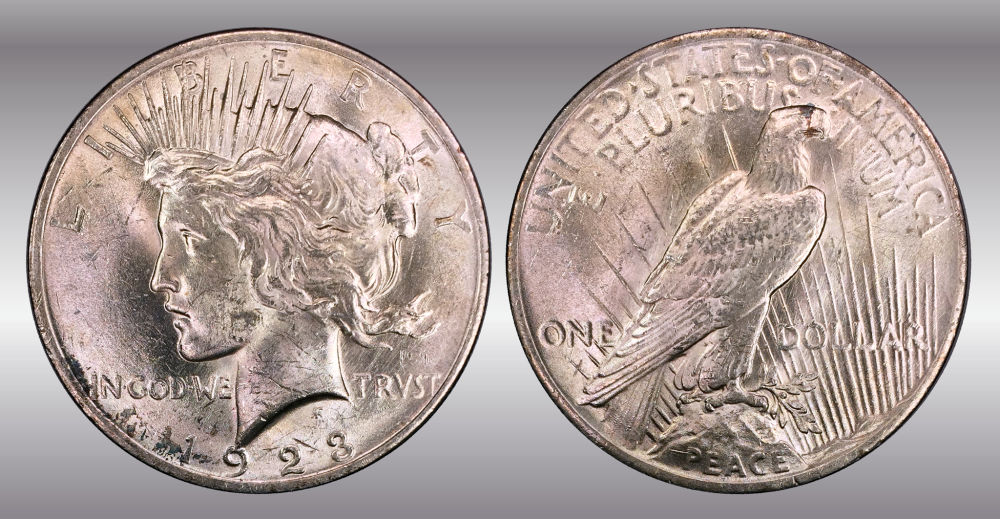 My-Raw-Peace-Dollar-Collection.-.-.-.-Warning!